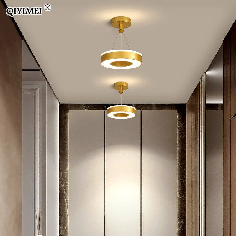 Modern LED chandeliers for home decoration lighting