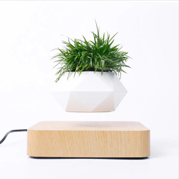 Magnetic levitating bonsai pot for special decoration