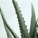 Artificial succulent plants for indoor and outdoor decoration