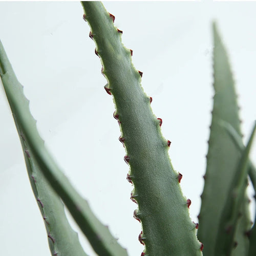 Artificial succulent plants for indoor and outdoor decoration - vue 7 sur 8