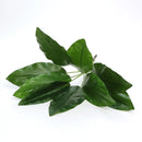 Artificial monstera plant for indoor and outdoor decoration