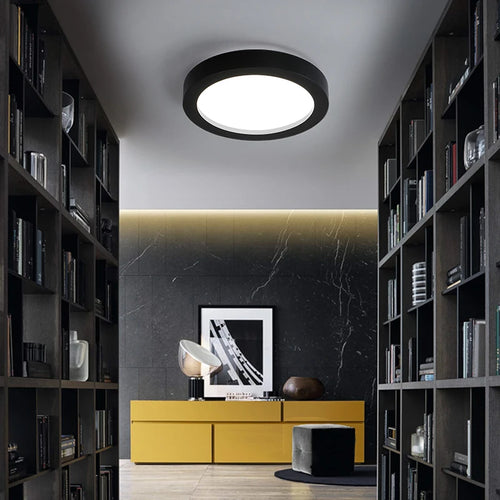 Modern dimmable LED iron ceiling light for indoor use - vue 5 sur 6