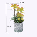 Artificial tropical cactus for desk decoration