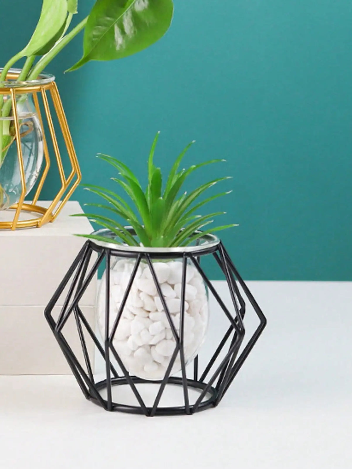transparent flower arrangement for interior decoration with water plants - vue 3 sur 6