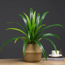 Large artificial orchid leaves plant for interior decoration