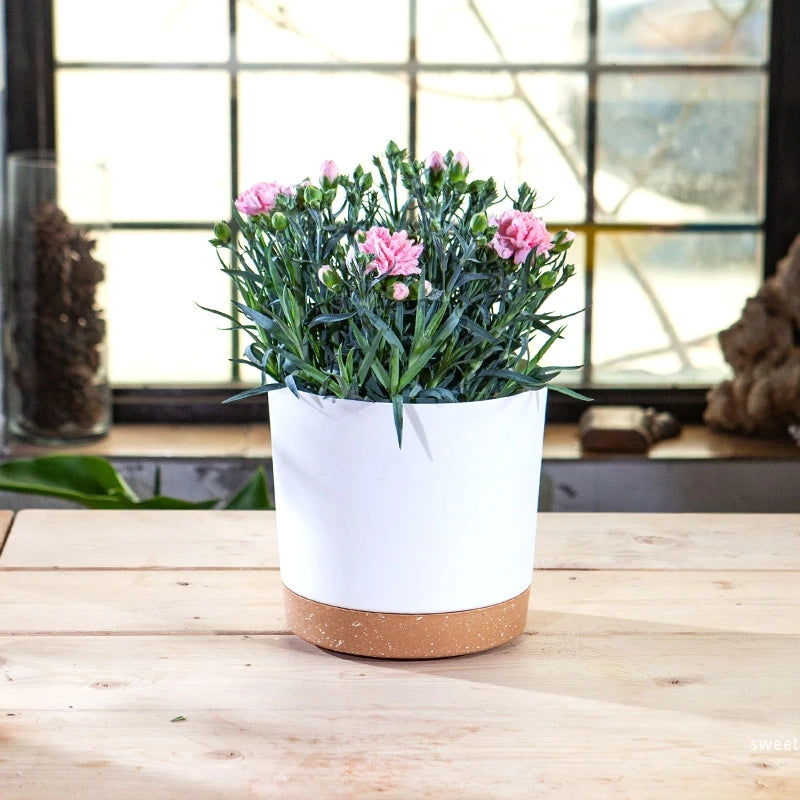 Large circular plastic indoor plant pot with drainage and tray - vue 3 sur 15