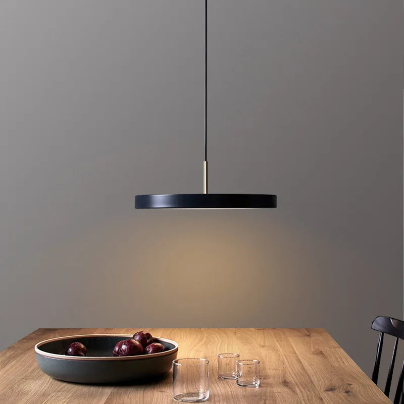 Modern LED disc pendant light for home decor