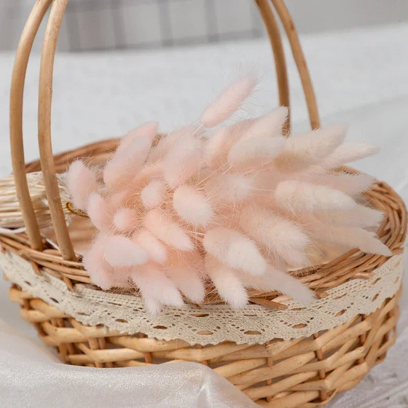 Dried bunny tail grass bouquet for festive decorations - vue 18 sur 23