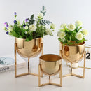 decorative vase for floral arrangements and living rooms