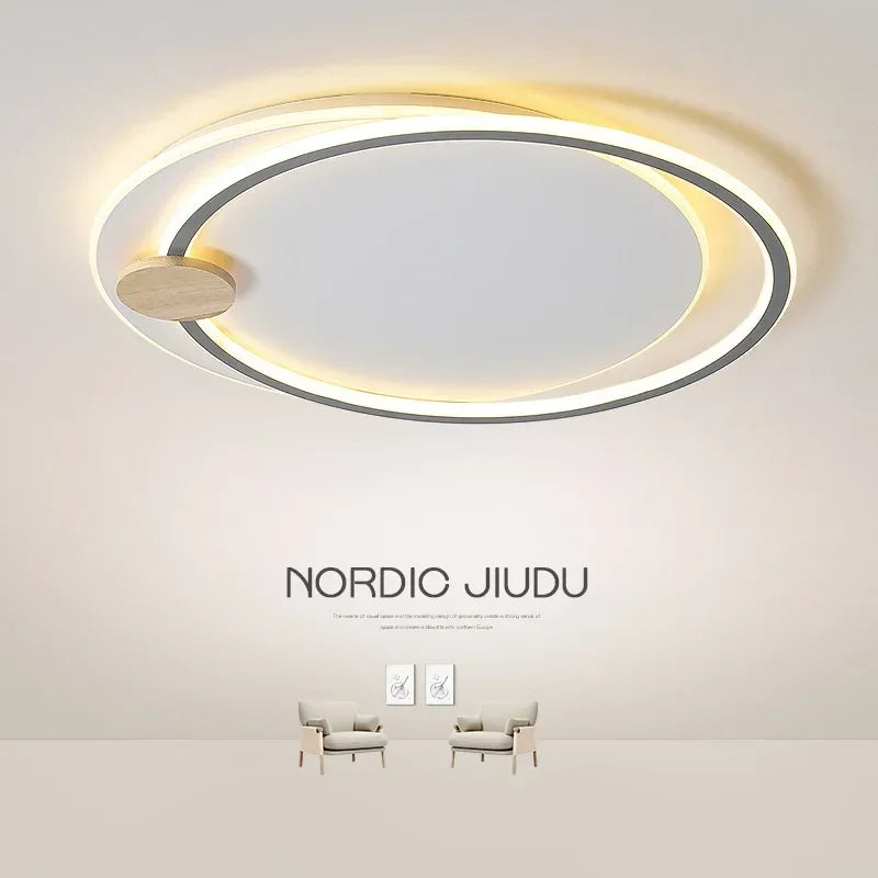 Modern simple ceiling light for stylish home decor