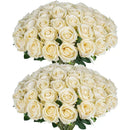 Set of 50 artificial silk roses for decoration and festive events