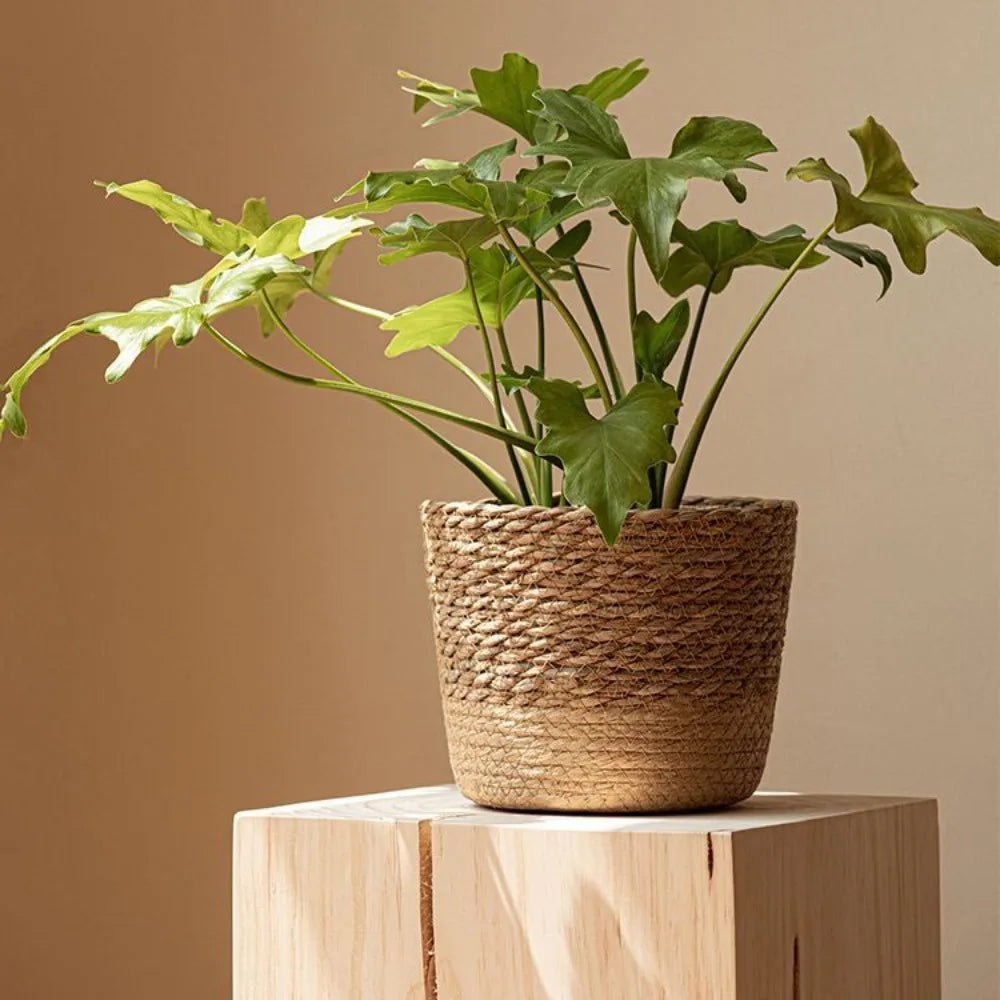woven wicker basket for flowers and storage - vue 3 sur 9