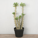 Large artificial potted plant for indoor and outdoor decoration