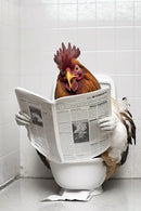 Humorous animal wall art bathroom reading newspaper