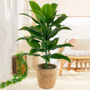 Realistic touch artificial tropical plants for indoor decoration