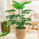 Artificial monstera and palm leaves for decoration