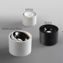 Dimmable round surface mounted LED ceiling light