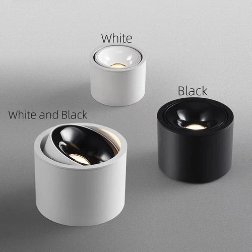 Dimmable round surface mounted LED ceiling light - vue 3 sur 9