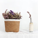 seagrass hanging basket for storage and planting