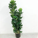 Artificial ficus lyrata plant for indoor and outdoor decoration