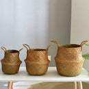 wicker basket for storage and garden decoration