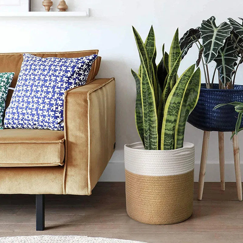 cotton rope basket for plants and indoor storage