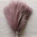 Set of 10 artificial pampas grass bouquets for interior decoration
