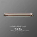 Modern minimalist nordic long LED chandelier