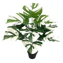 Artificial plants with large decorative leaves for indoors and offices