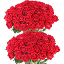 Set of 50 artificial silk roses for decoration and festive events