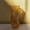 Nordic transparent glass vase for elegant floral decorations