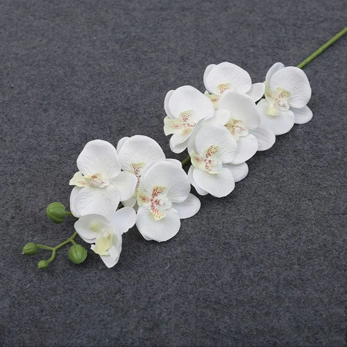 Phalaenopsis artificial plants 3d real touch decorative orchid - vue 10 sur 10