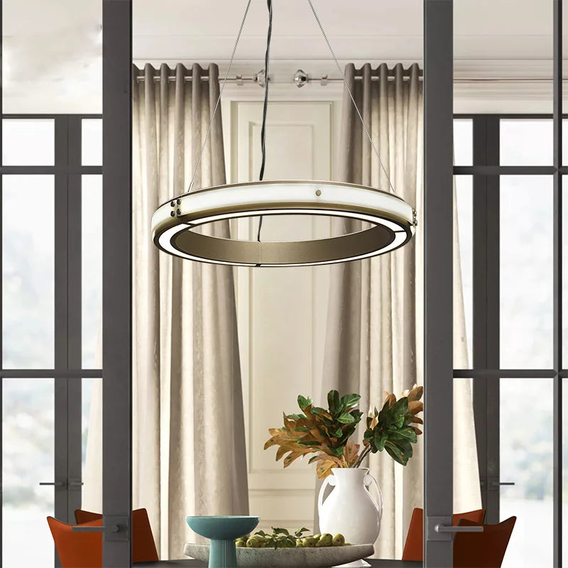 Modern iron pendant light for elegant interior decor - vue 4 sur 7