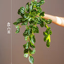 Artificial hanging rattan plants for indoor decoration