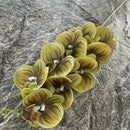 Artificial phalaenopsis decorative orchid for weddings and gardens
