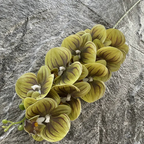 Artificial phalaenopsis decorative orchid for weddings and gardens - vue 22 sur 23