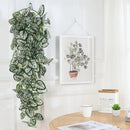Decorative hanging plants for garden and weddings