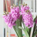 Artificial flower arrangement for decoration and photography