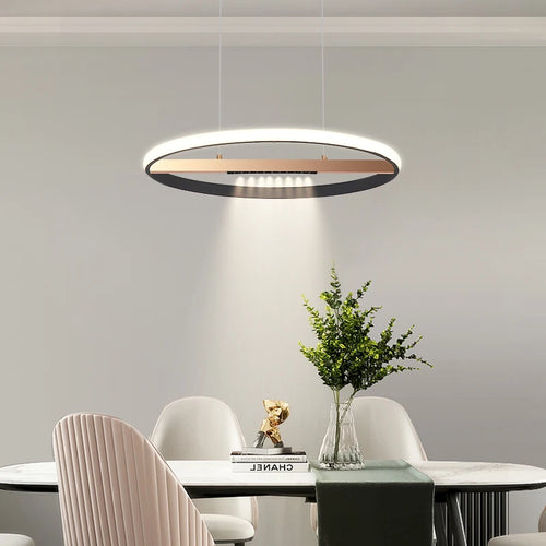 Modern round ring chandelier for indoor lighting - vue 5 sur 11