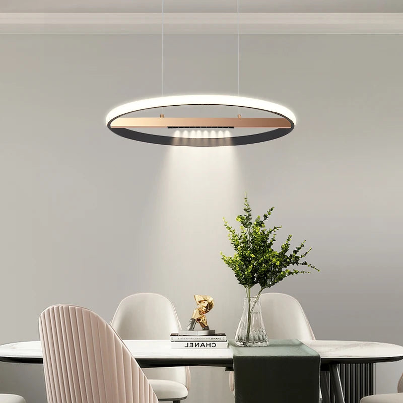 Modern round ring chandelier for indoor lighting - vue 4 sur 11