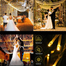 Waterproof LED string lights for indoor and outdoor decoration 2024