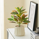 Artificial ficus tree for indoor or outdoor decoration