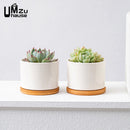 set of 2 ceramic pots with drainage for indoor plants