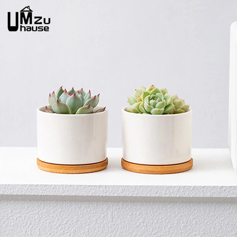 set of 2 ceramic pots with drainage for indoor plants