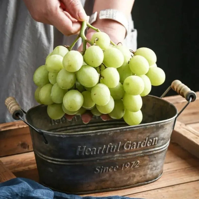 vintage metal storage basket for flowers and fruits