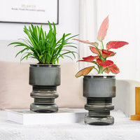 Hydroponic flower pot with automatic watering garden decoration