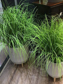 Artificial onion grass plant for wedding, garden and home decoration