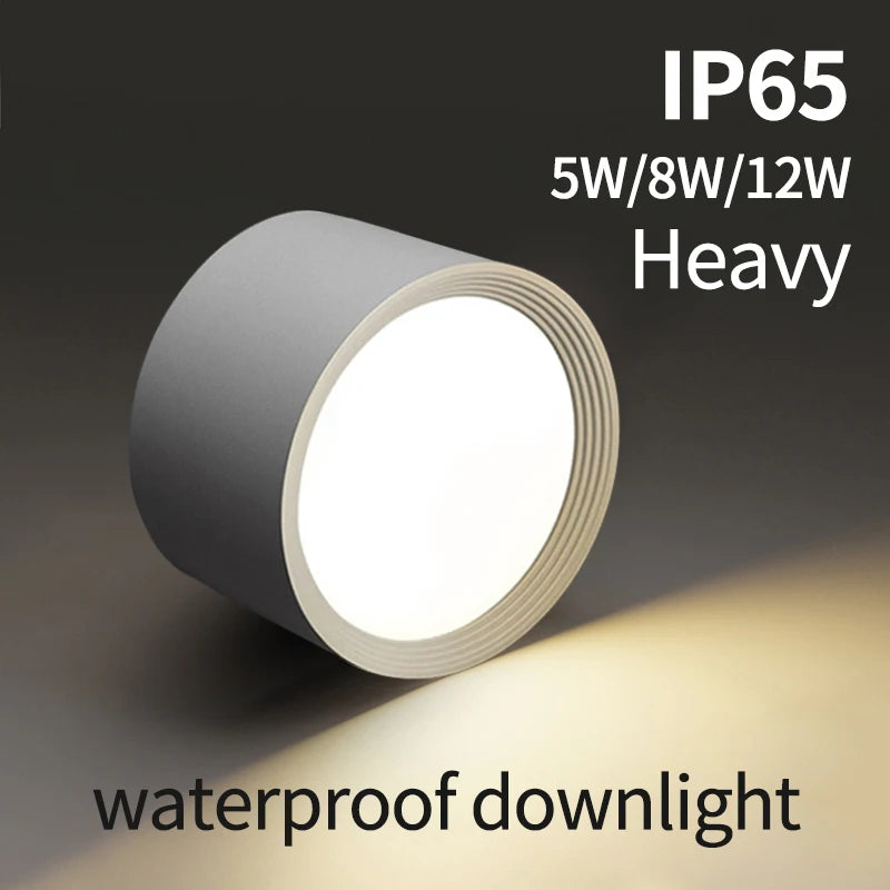 Waterproof high-brightness LED ceiling light for outdoor use
