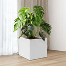 square metal planter for indoor and outdoor plants