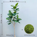 Artificial ficus branches with large banyan leaves for garden decoration